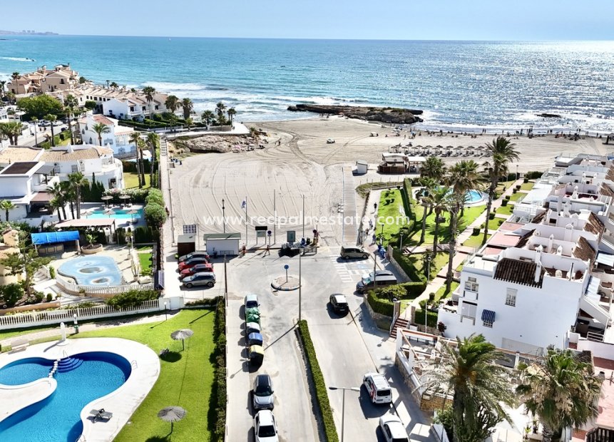 Reventa - Negocio -
Orihuela Costa - Cabo Roig