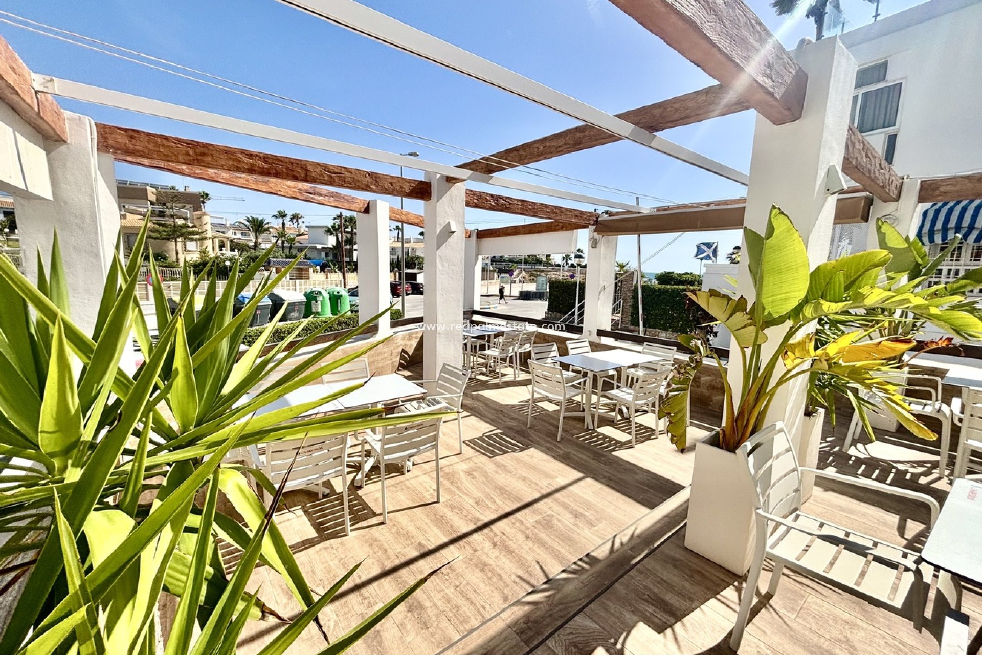 Reventa - Negocio -
Orihuela Costa - Cabo Roig