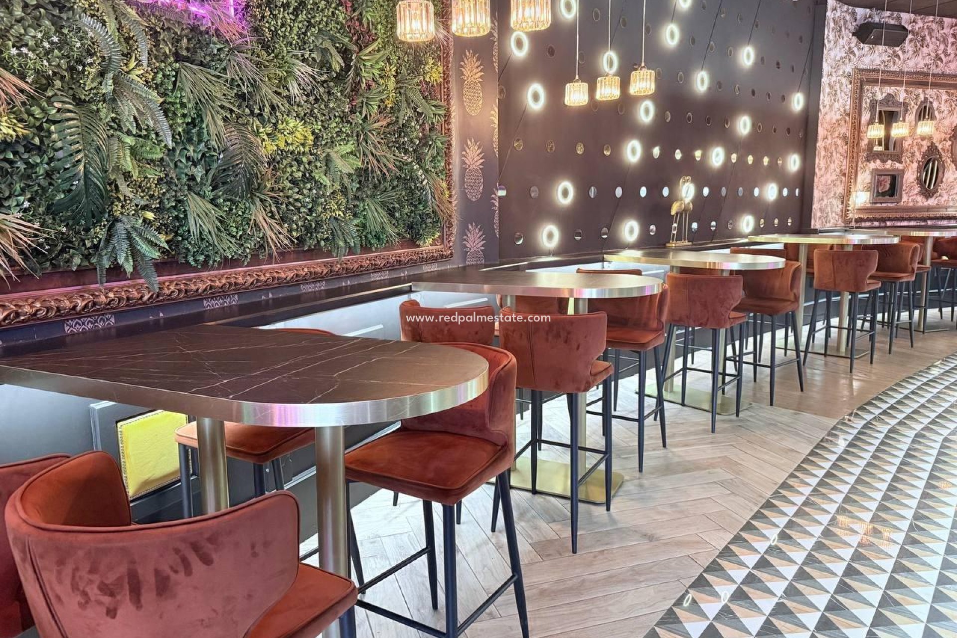 Reventa - Negocio -
Orihuela Costa - Cabo Roig