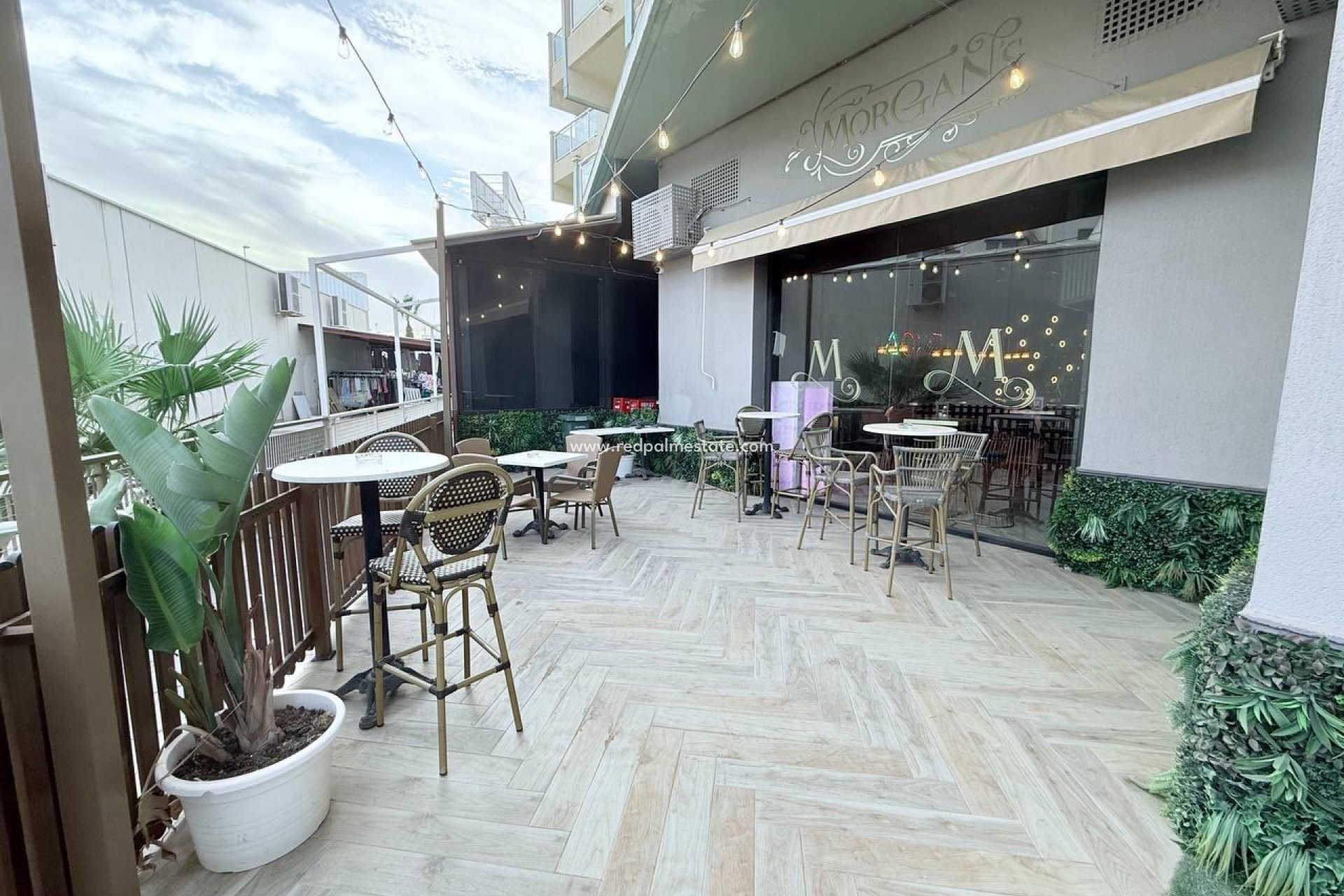 Reventa - Negocio -
Orihuela Costa - Cabo Roig