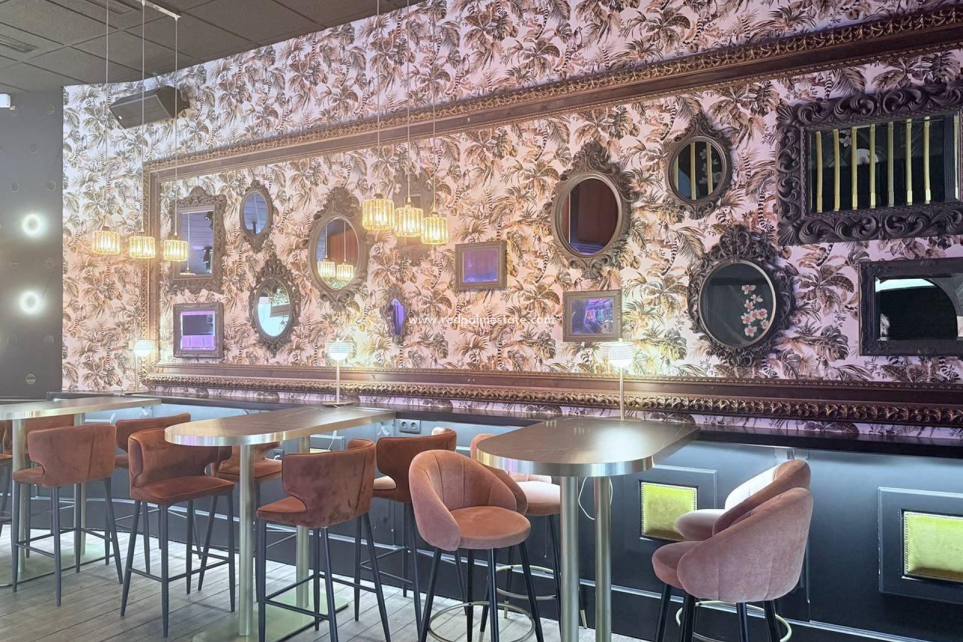 Reventa - Negocio -
Orihuela Costa - Cabo Roig