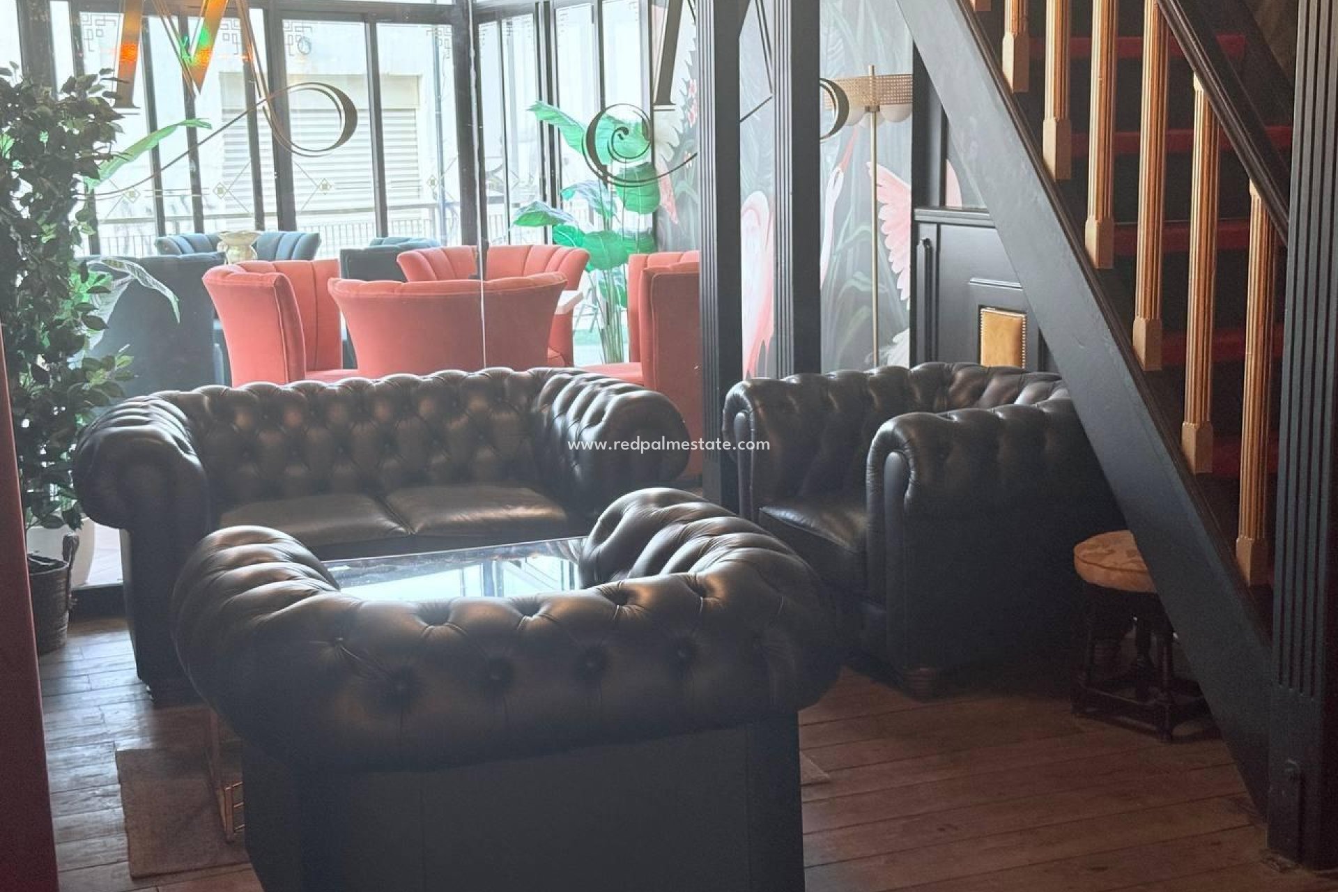 Reventa - Negocio -
Orihuela Costa - Cabo Roig