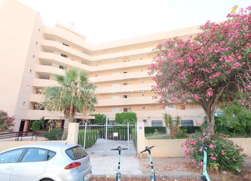 Reventa - Negocio -
Orihuela Costa - Costa Blanca