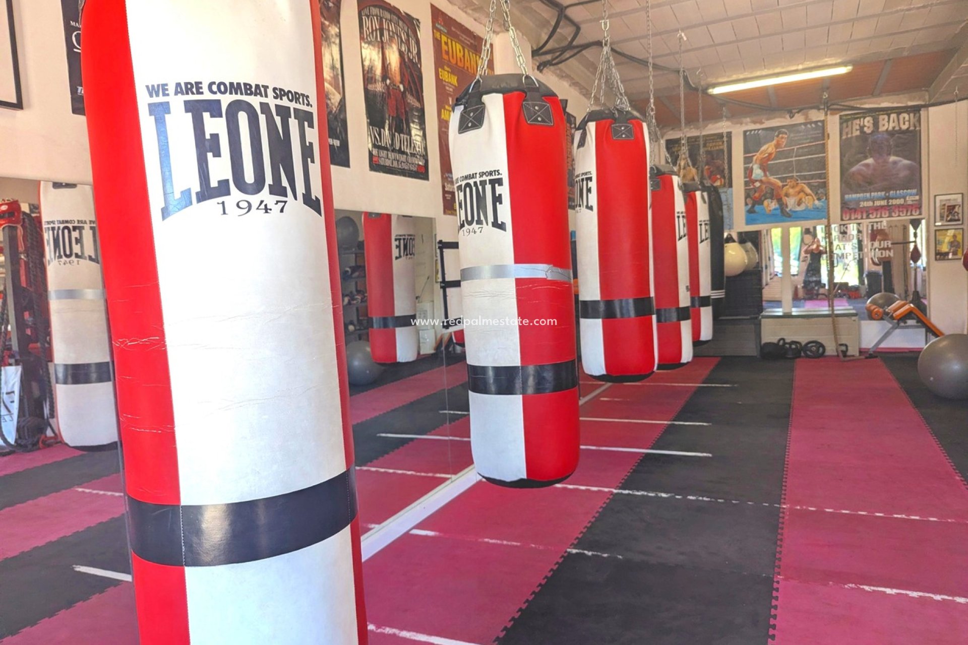 Reventa - Negocio -
Orihuela Costa - La Fuente