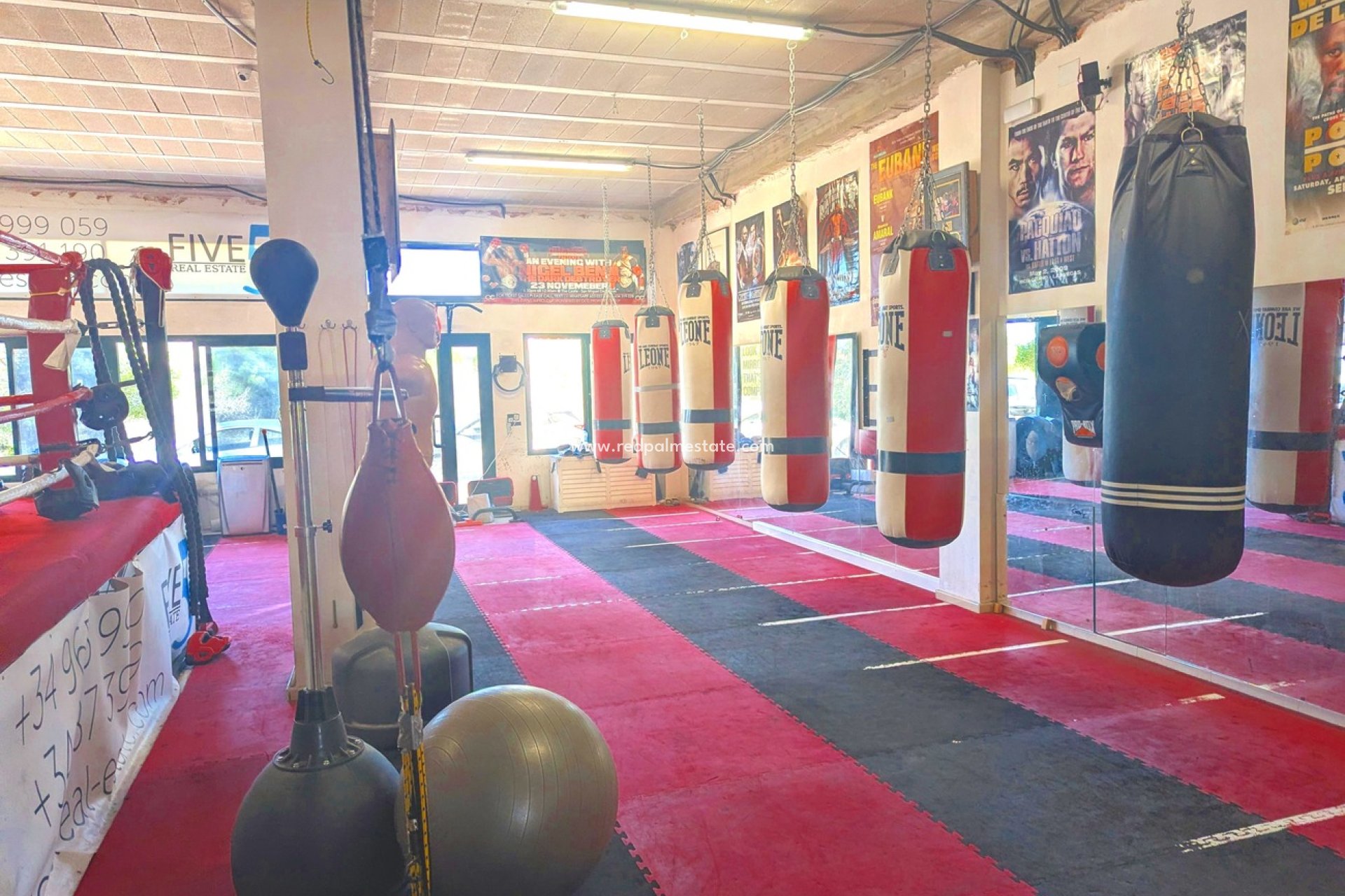 Reventa - Negocio -
Orihuela Costa - La Fuente