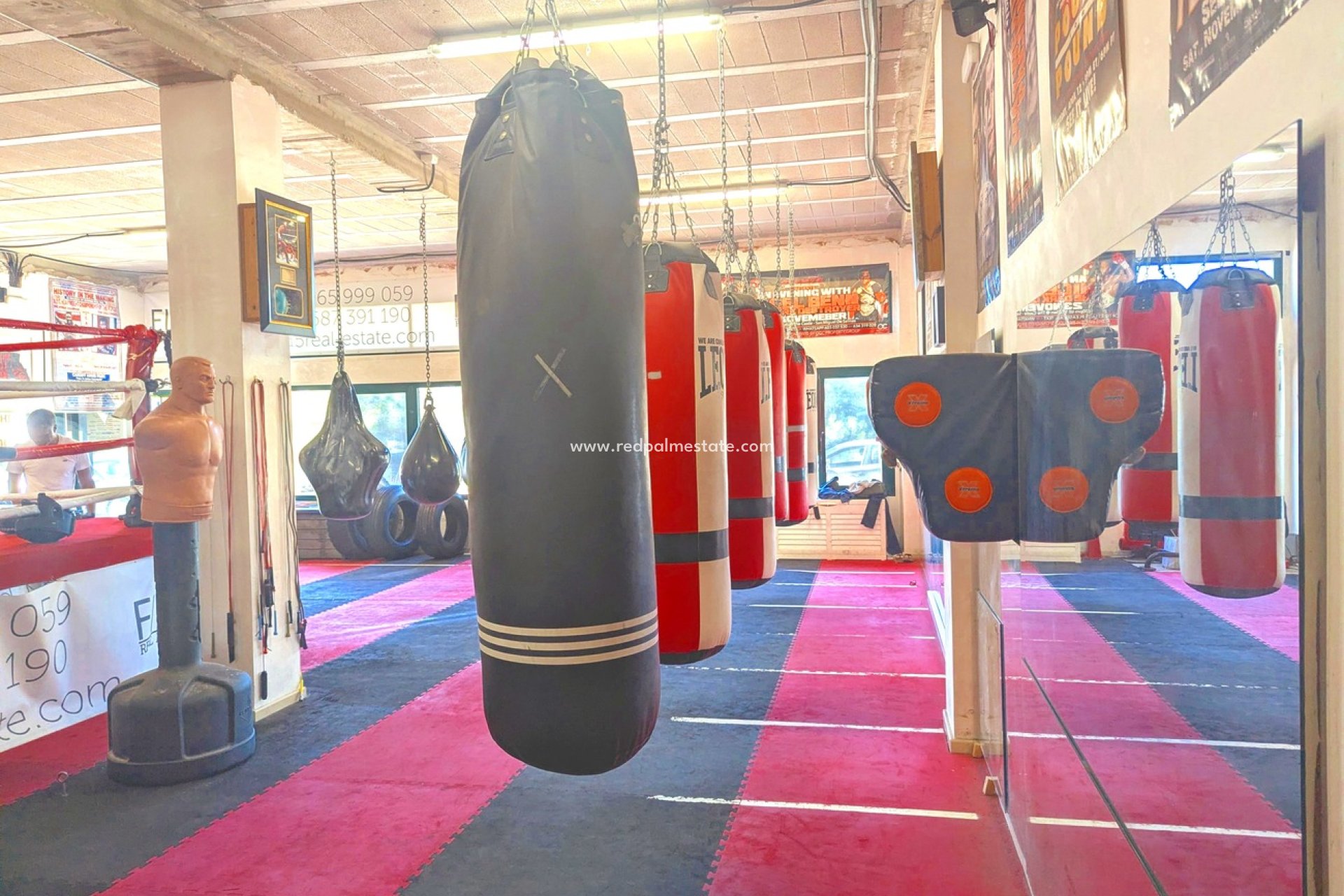 Reventa - Negocio -
Orihuela Costa - La Fuente