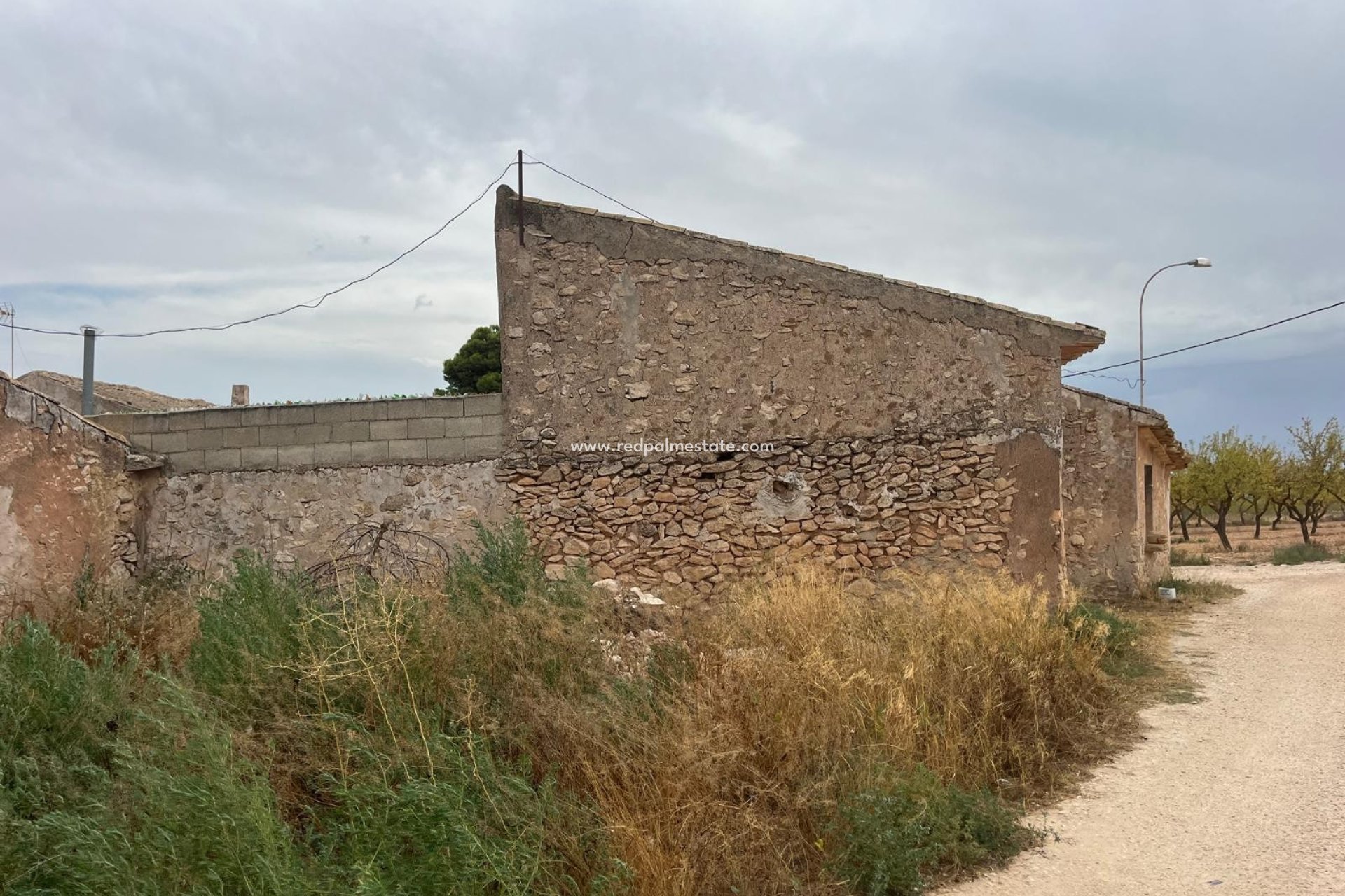 Reventa - Negocio -
Pinoso - Inland