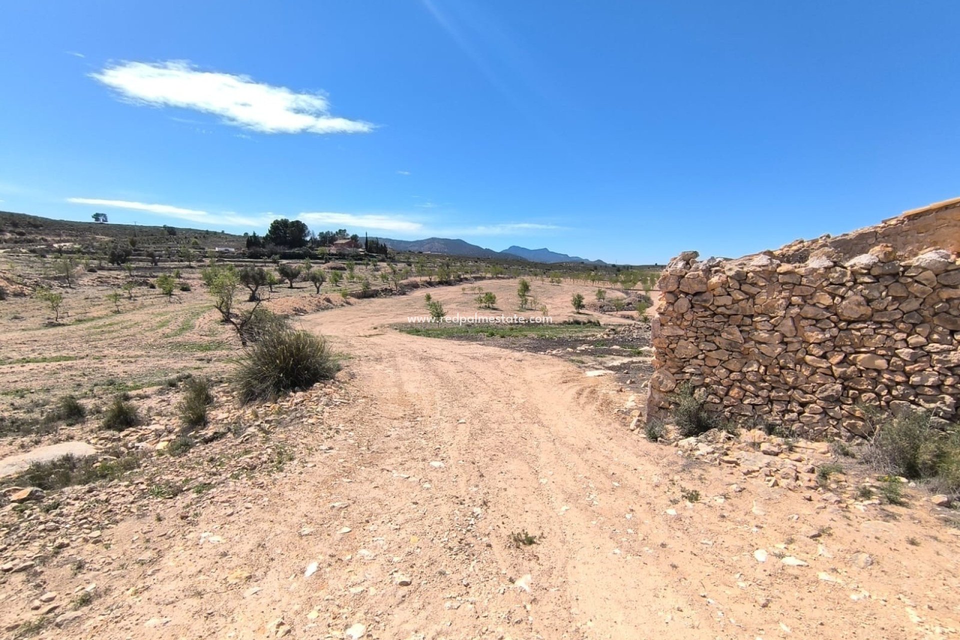 Reventa - Negocio -
Rodriguillo - Inland