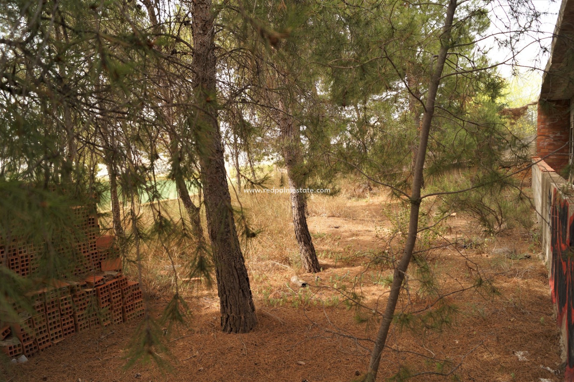 Reventa - Negocio -
Salinas - Inland