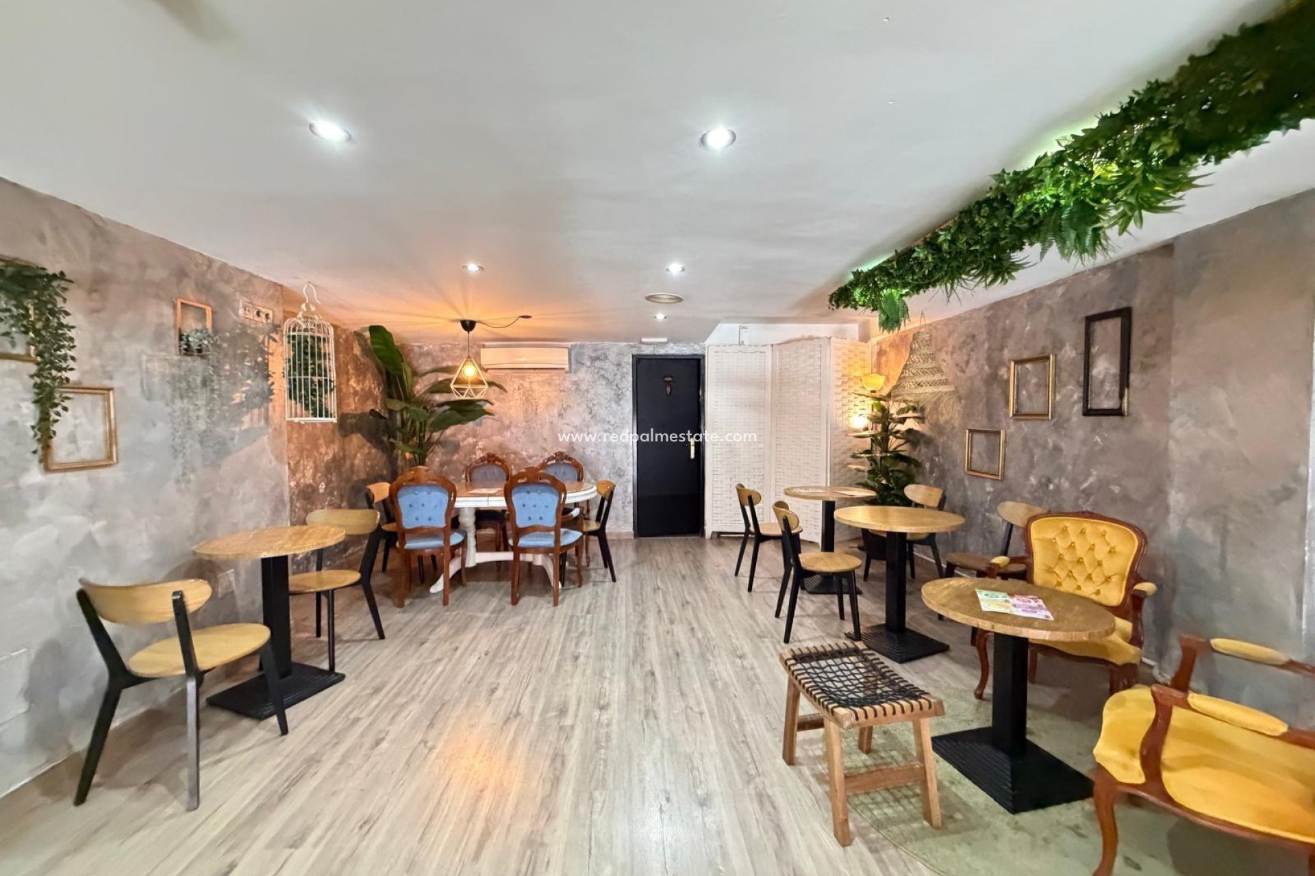 Reventa - Negocio -
Torrevieja - Centro Torrevieja
