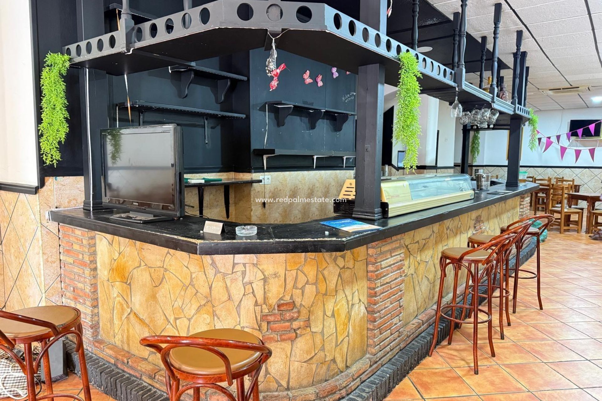 Reventa - Negocio -
Torrevieja - Centro Torrevieja