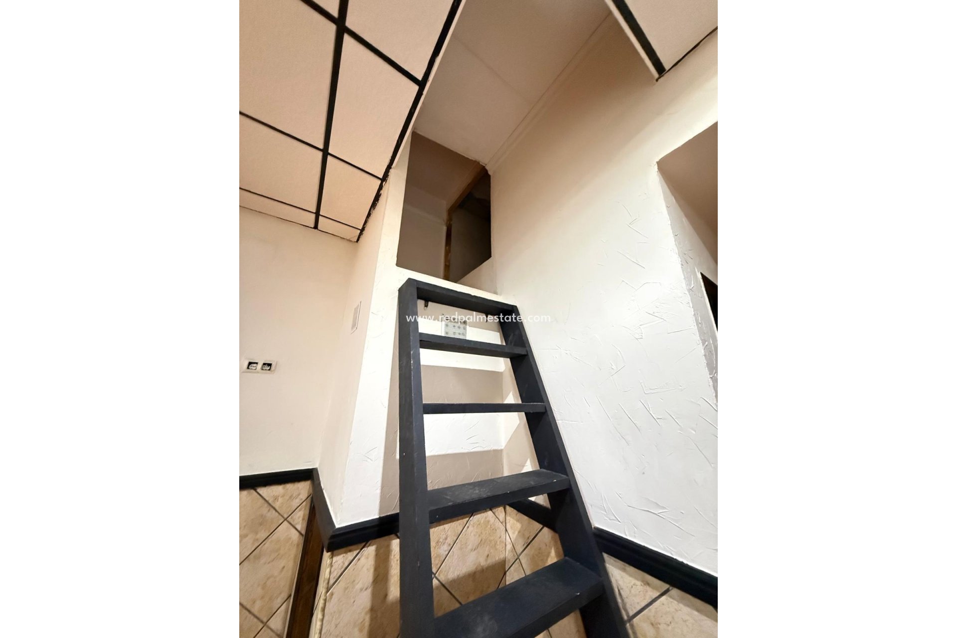 Reventa - Negocio -
Torrevieja - Centro Torrevieja