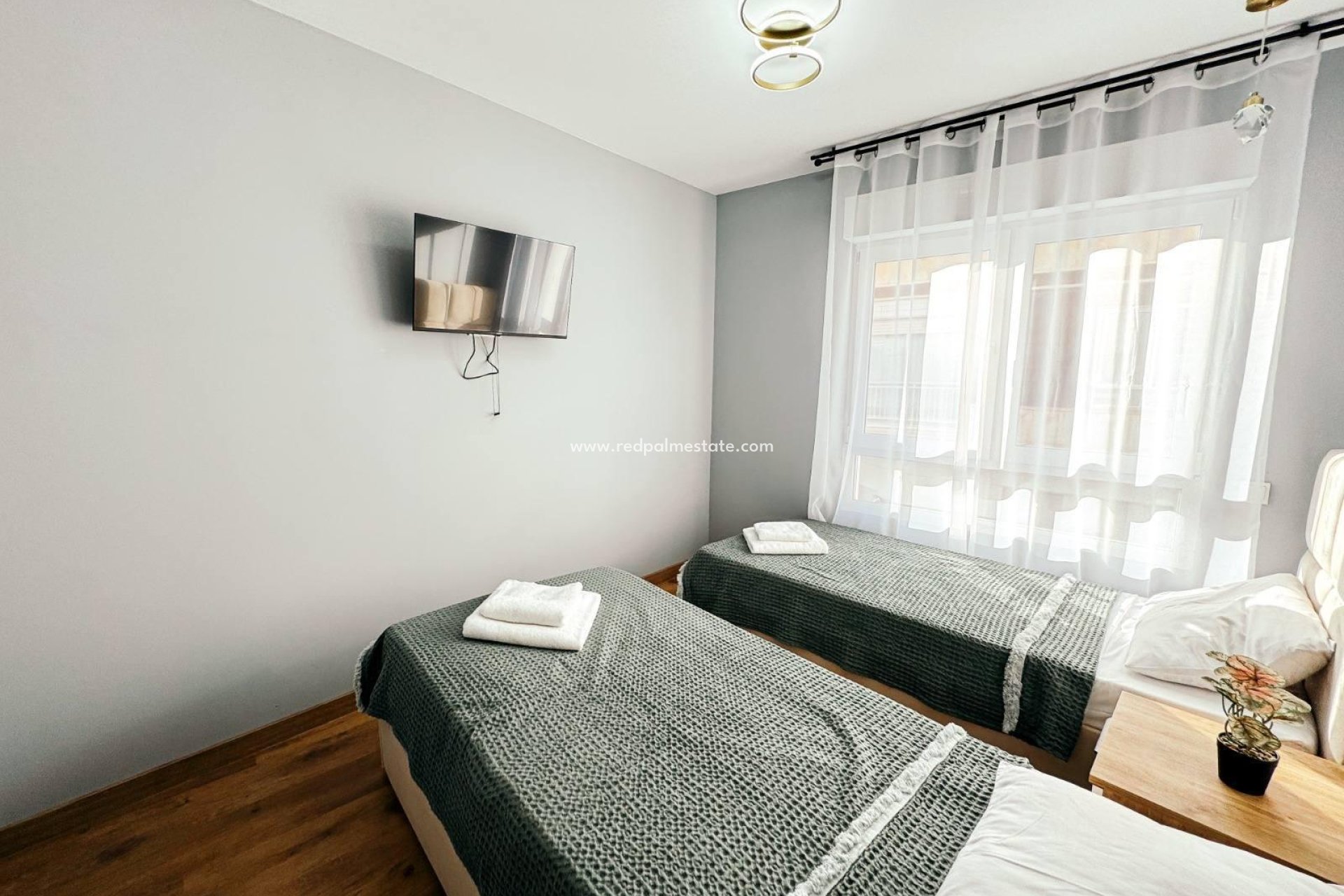 Reventa - Negocio -
Torrevieja - Centro Torrevieja