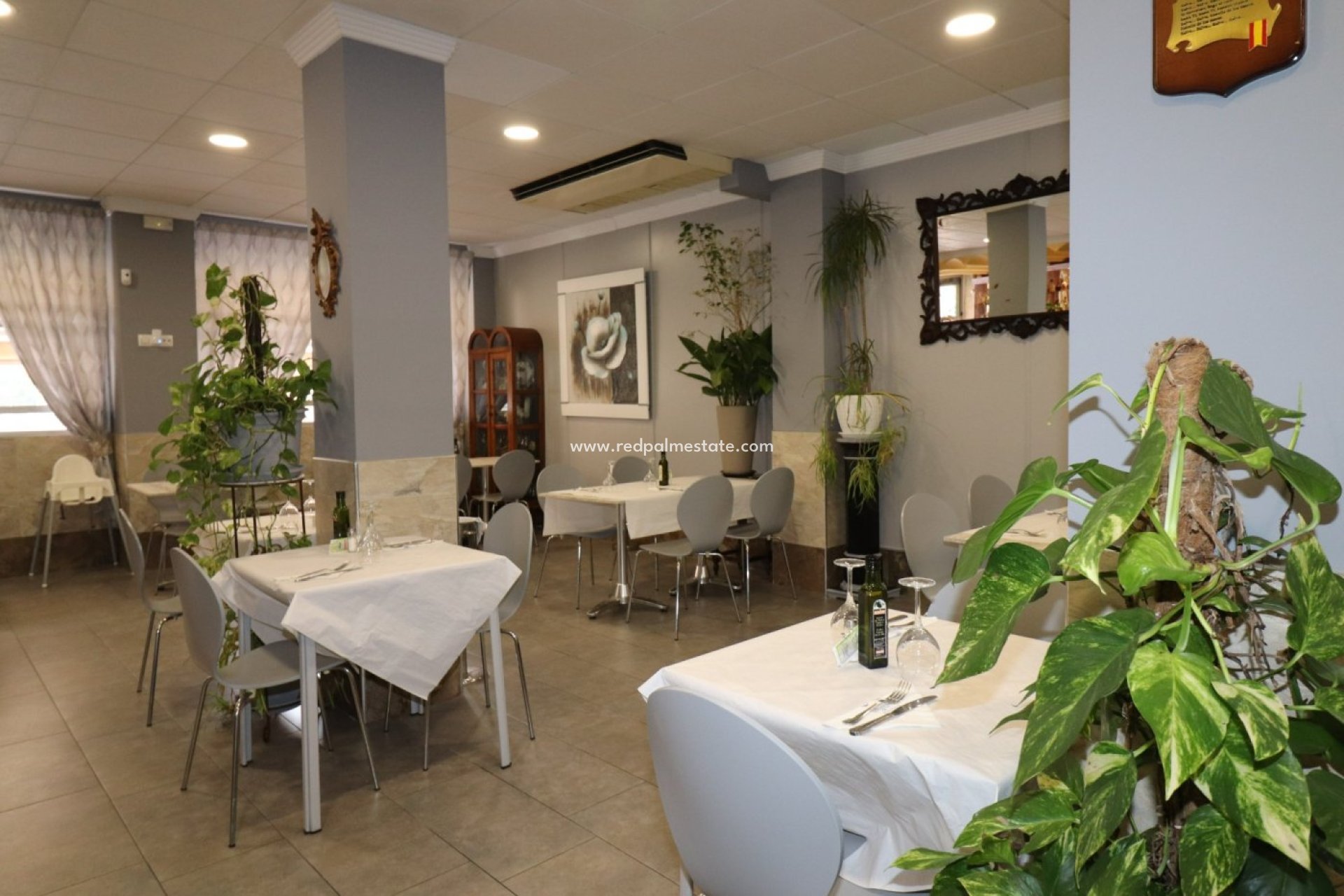 Reventa - Negocio -
Torrevieja - Playa del Cura