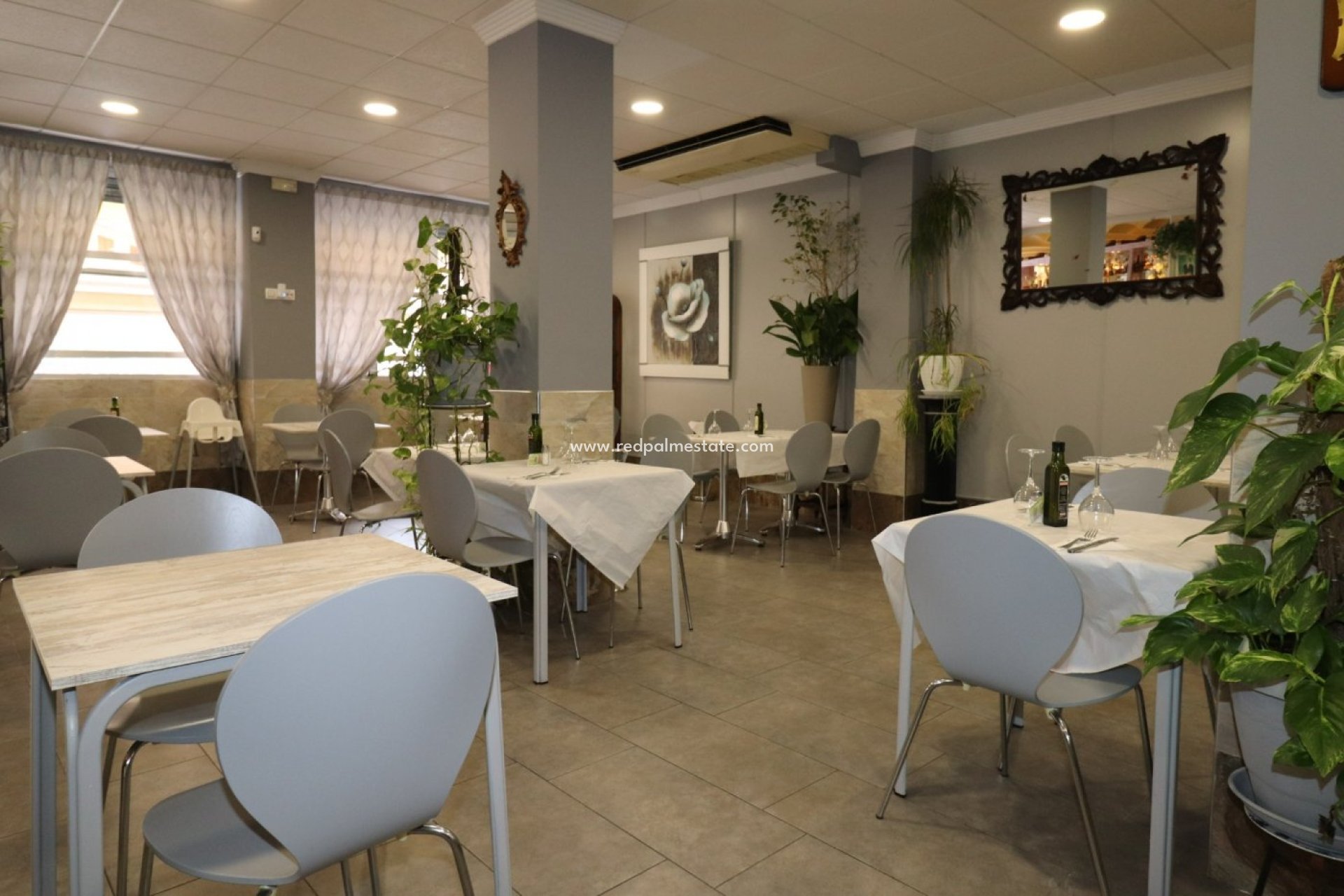 Reventa - Negocio -
Torrevieja - Playa del Cura
