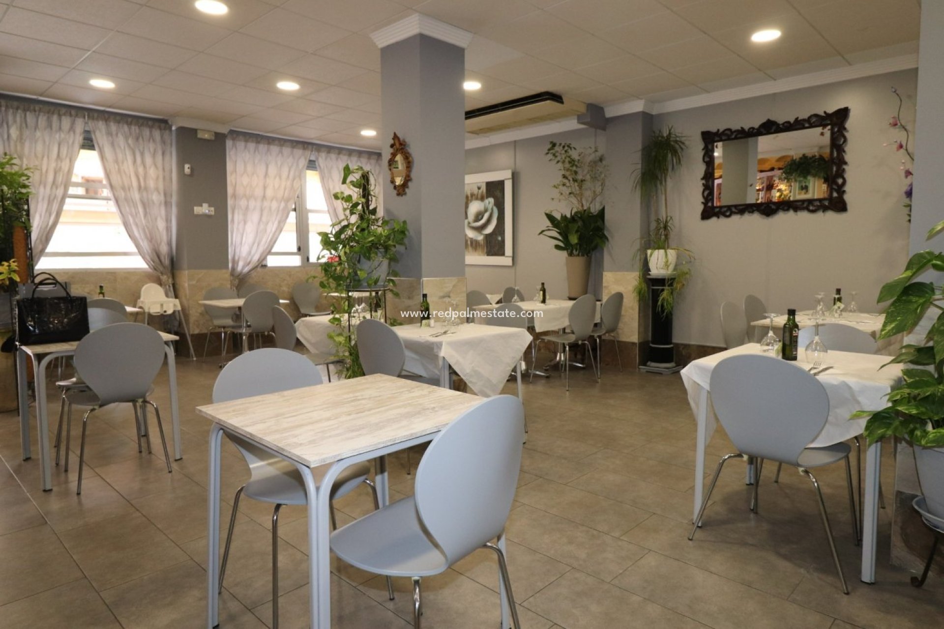 Reventa - Negocio -
Torrevieja - Playa del Cura