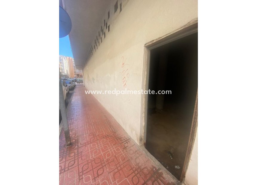 Reventa - Negocio -
Torrevieja - Playa del Cura