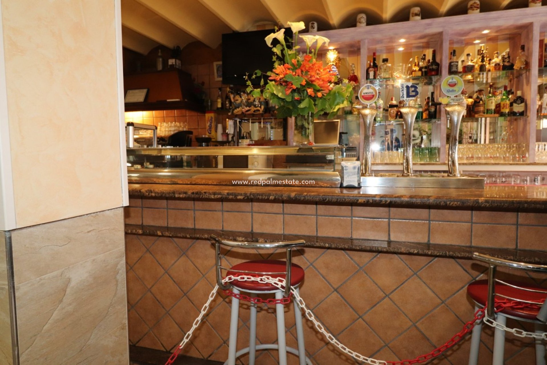 Reventa - Negocio -
Torrevieja - Playa del Cura