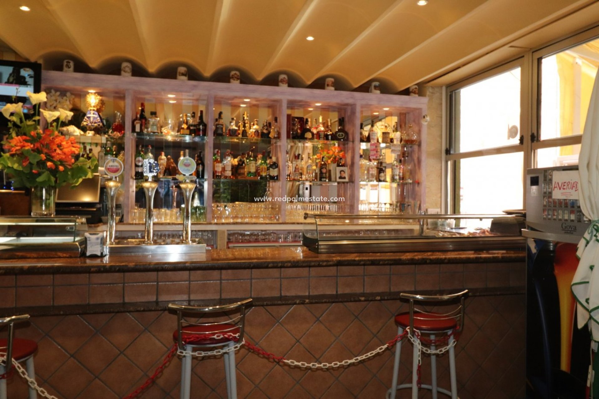 Reventa - Negocio -
Torrevieja - Playa del Cura