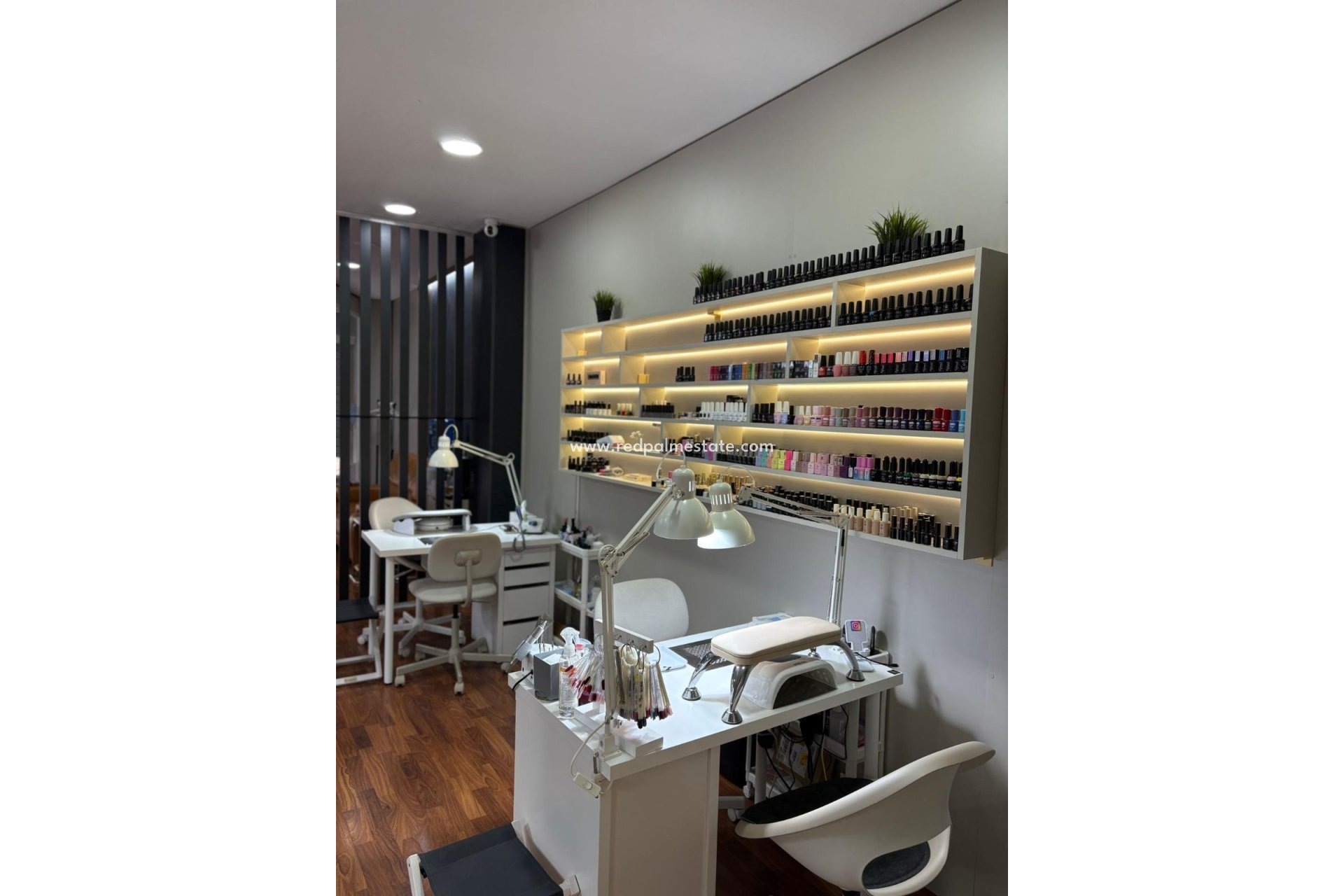 Reventa - Negocio -
Torrevieja