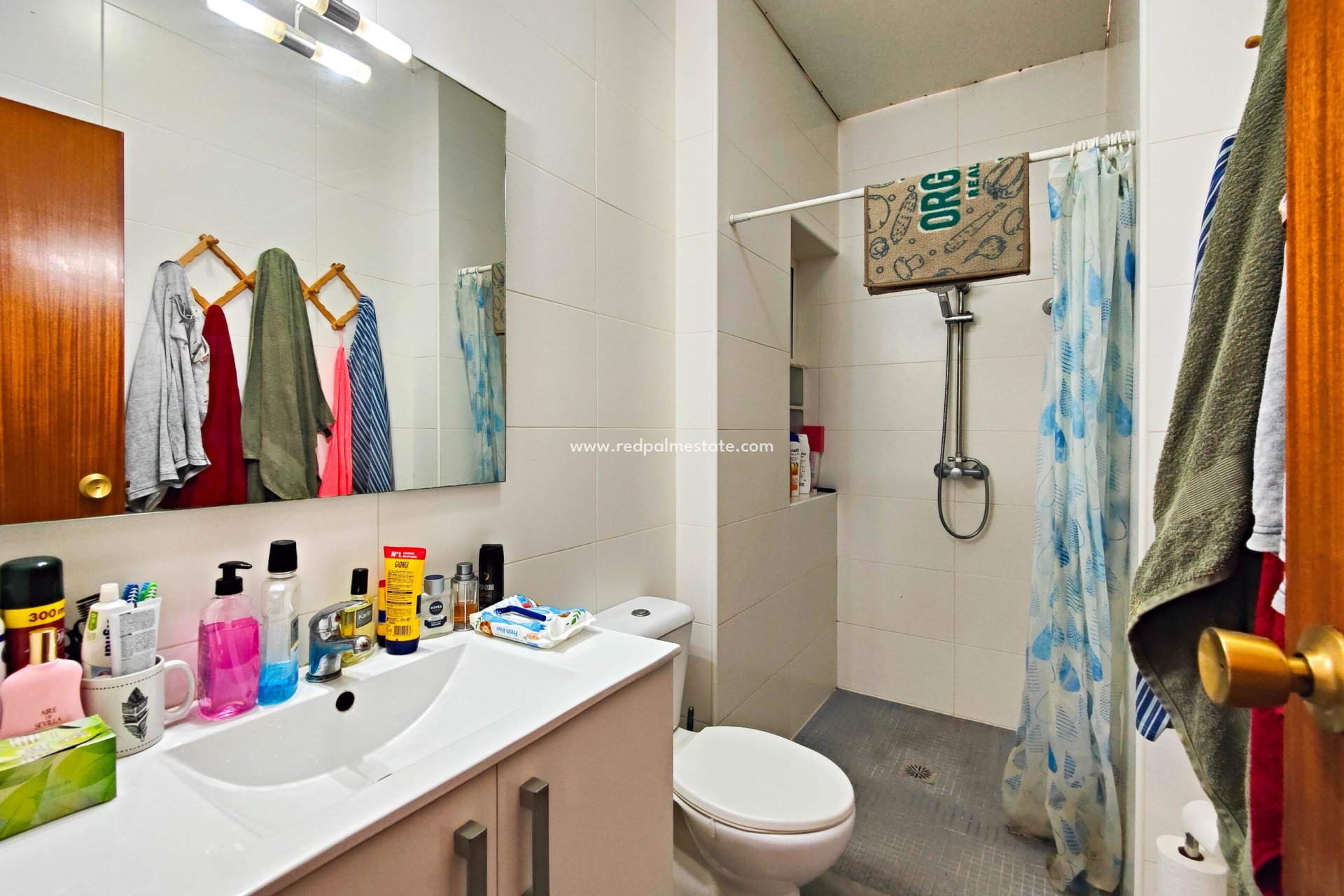 Reventa - Negocio -
Torrevieja