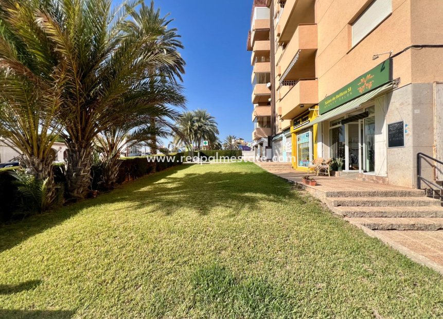 Reventa - Planta baja -
Orihuela Costa - La Zenia