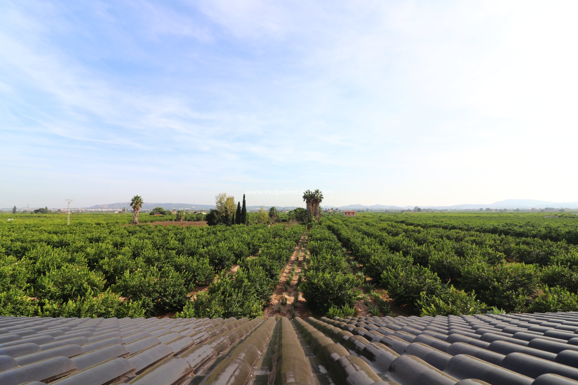 Reventa - Propiedad de campo -
Orihuela