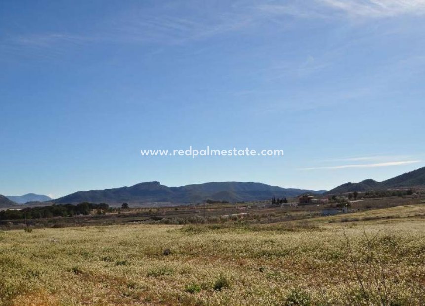 Reventa - Tierra -
Chinorlet - Inland