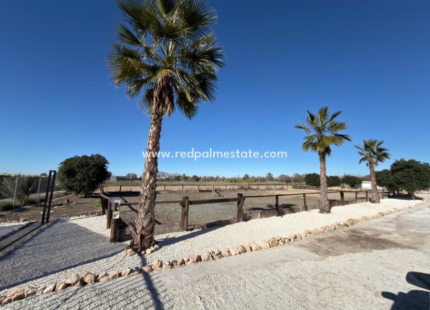 Reventa - Trama -
Algorfa - Inland