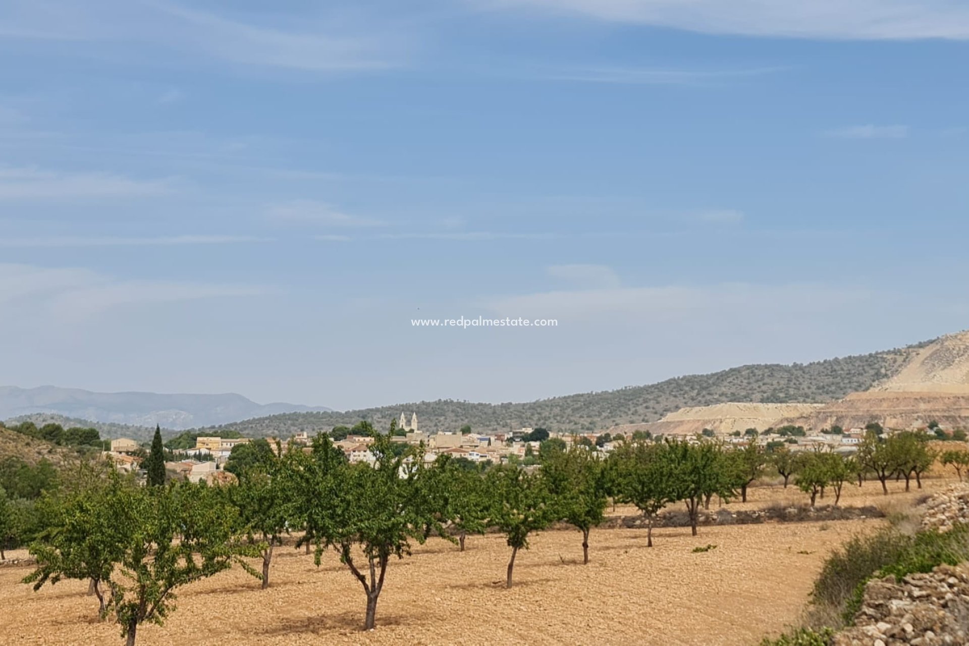 Reventa - Trama -
Algueña - Inland