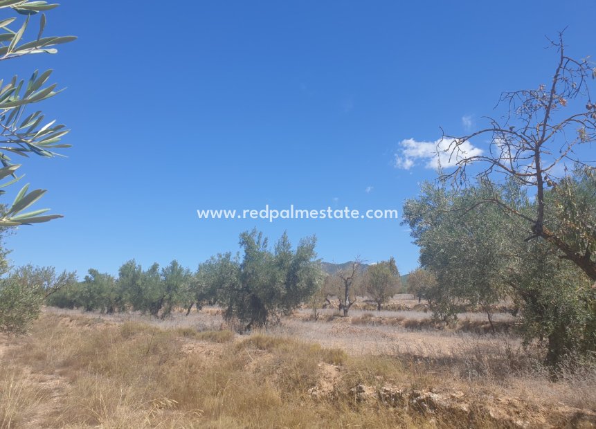 Reventa - Trama -
Biar - Inland