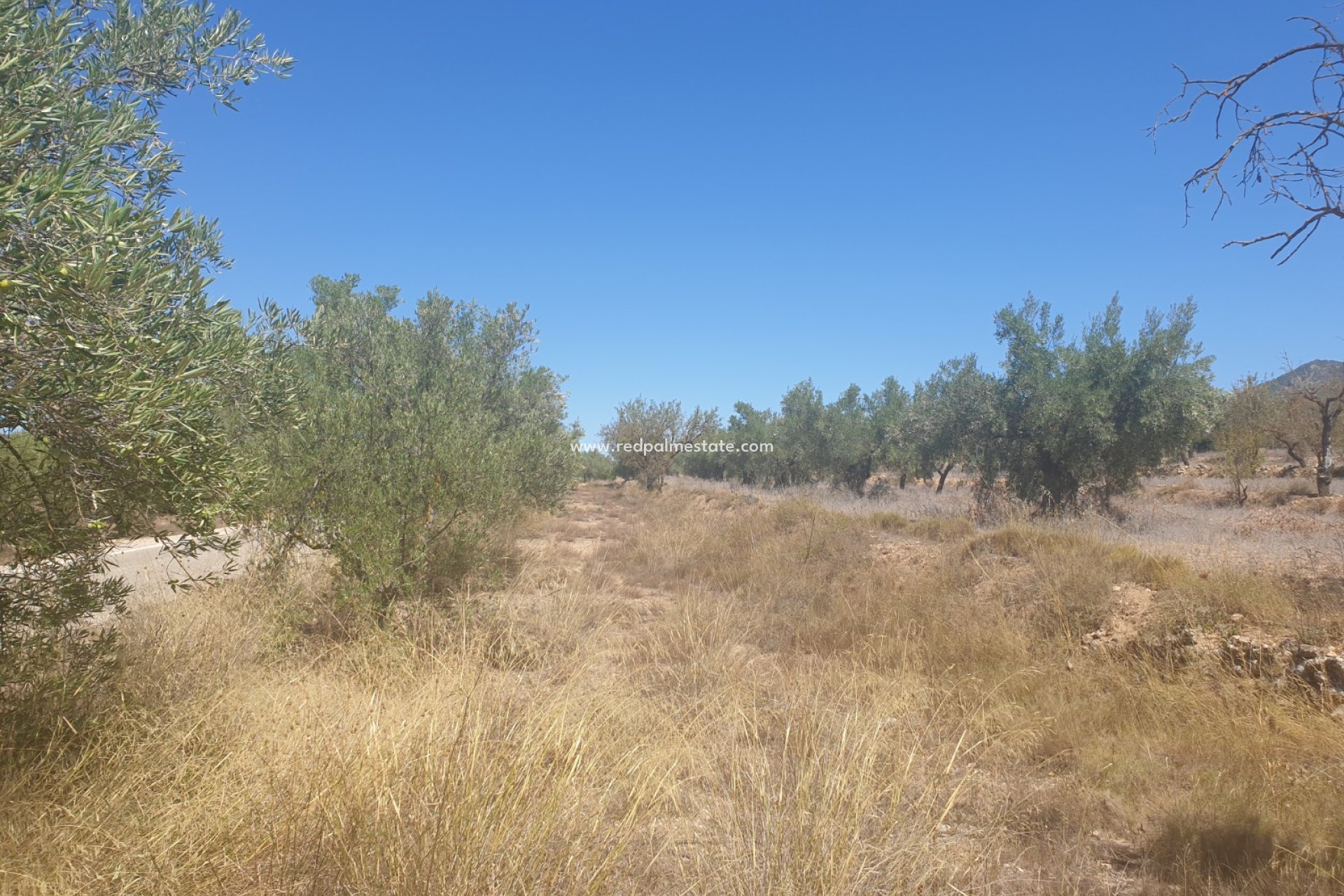 Reventa - Trama -
Biar - Inland