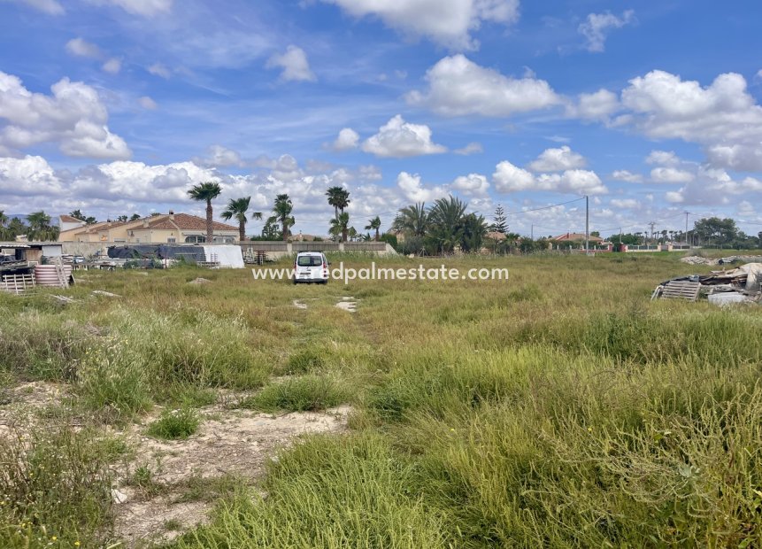 Reventa - Trama -
Catral - Costa Blanca