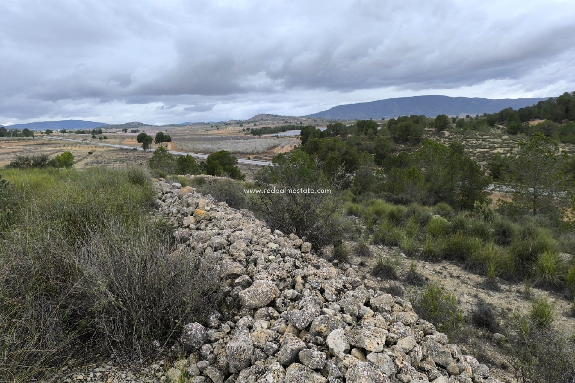 Reventa - Trama -
Chinorlet - Inland