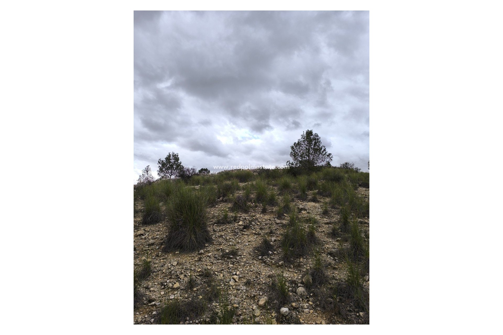 Reventa - Trama -
Chinorlet - Inland