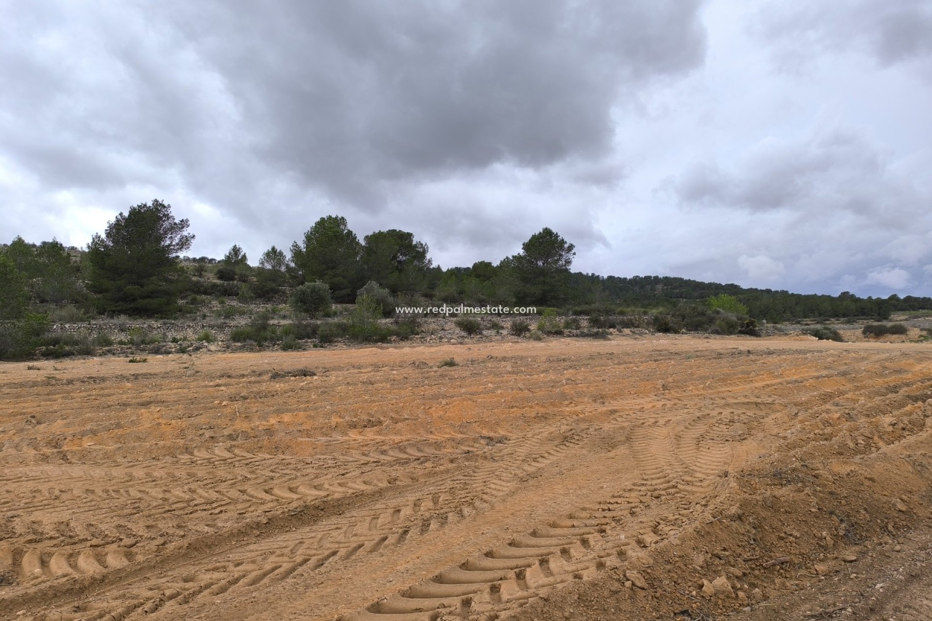 Reventa - Trama -
Chinorlet - Inland