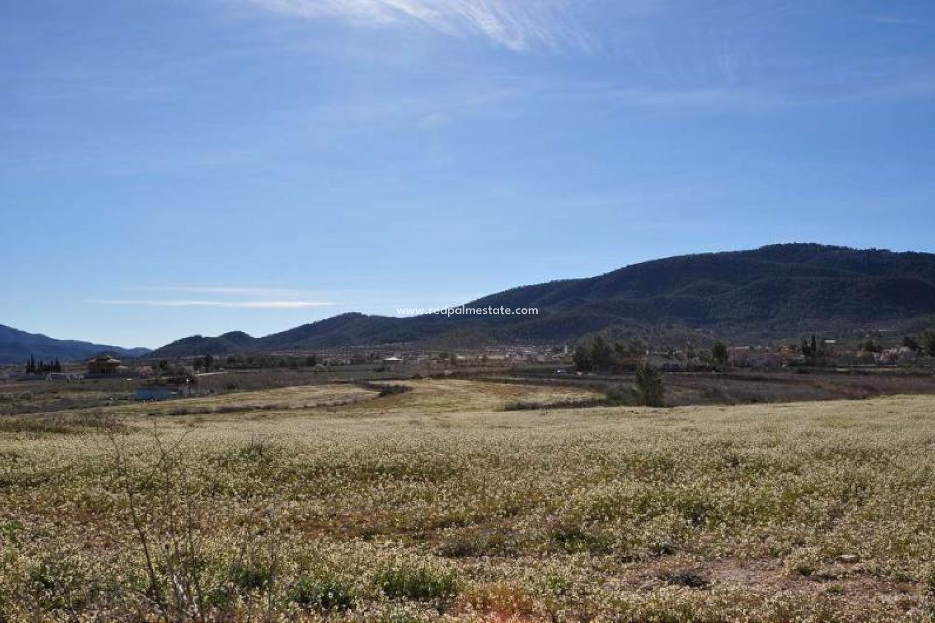 Reventa - Trama -
Chinorlet - Inland