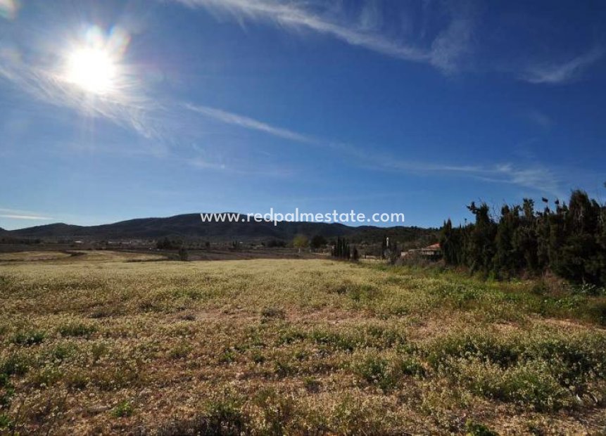 Reventa - Trama -
Chinorlet - Inland