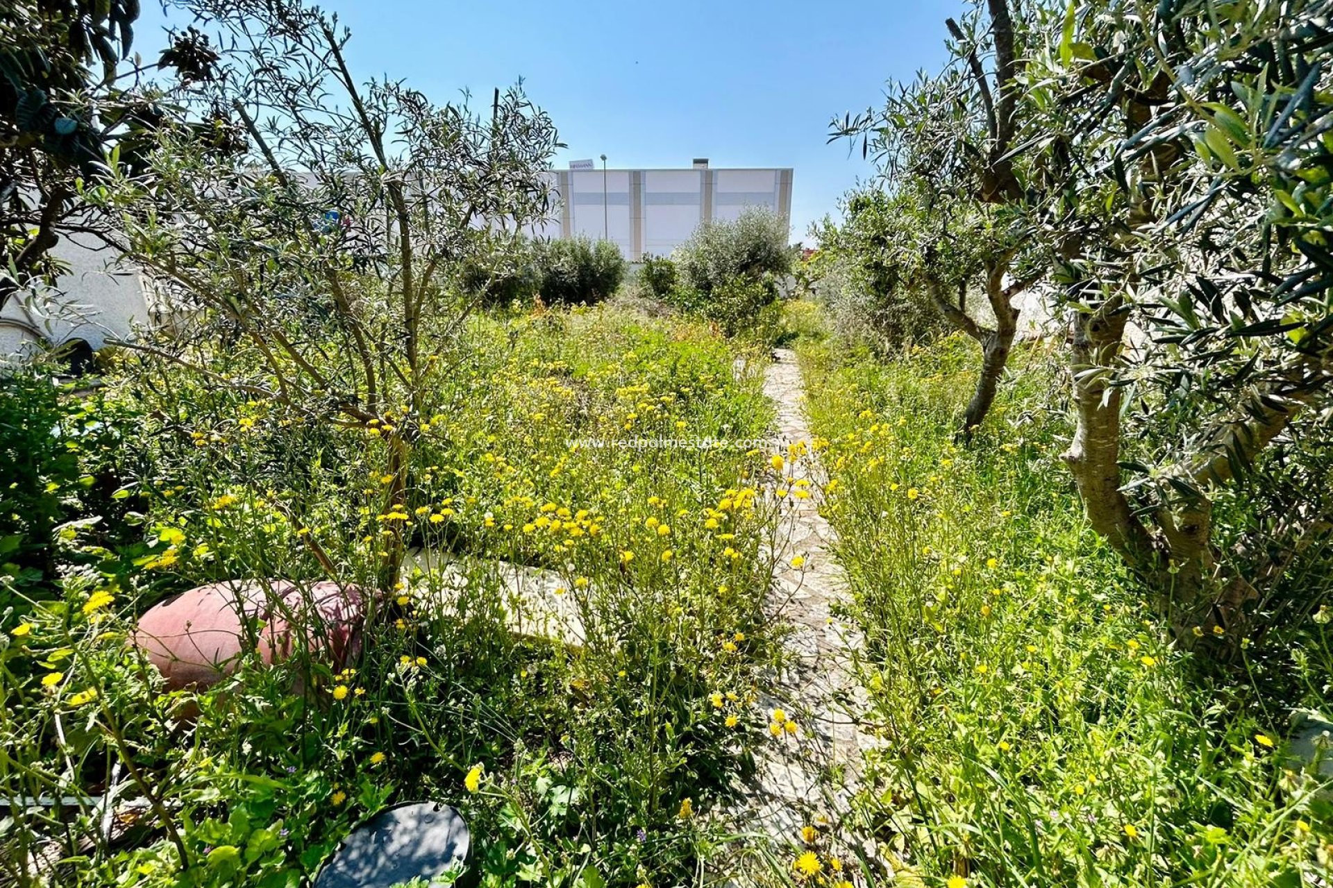 Reventa - Trama -
Ciudad Quesada/Rojales - Rojales