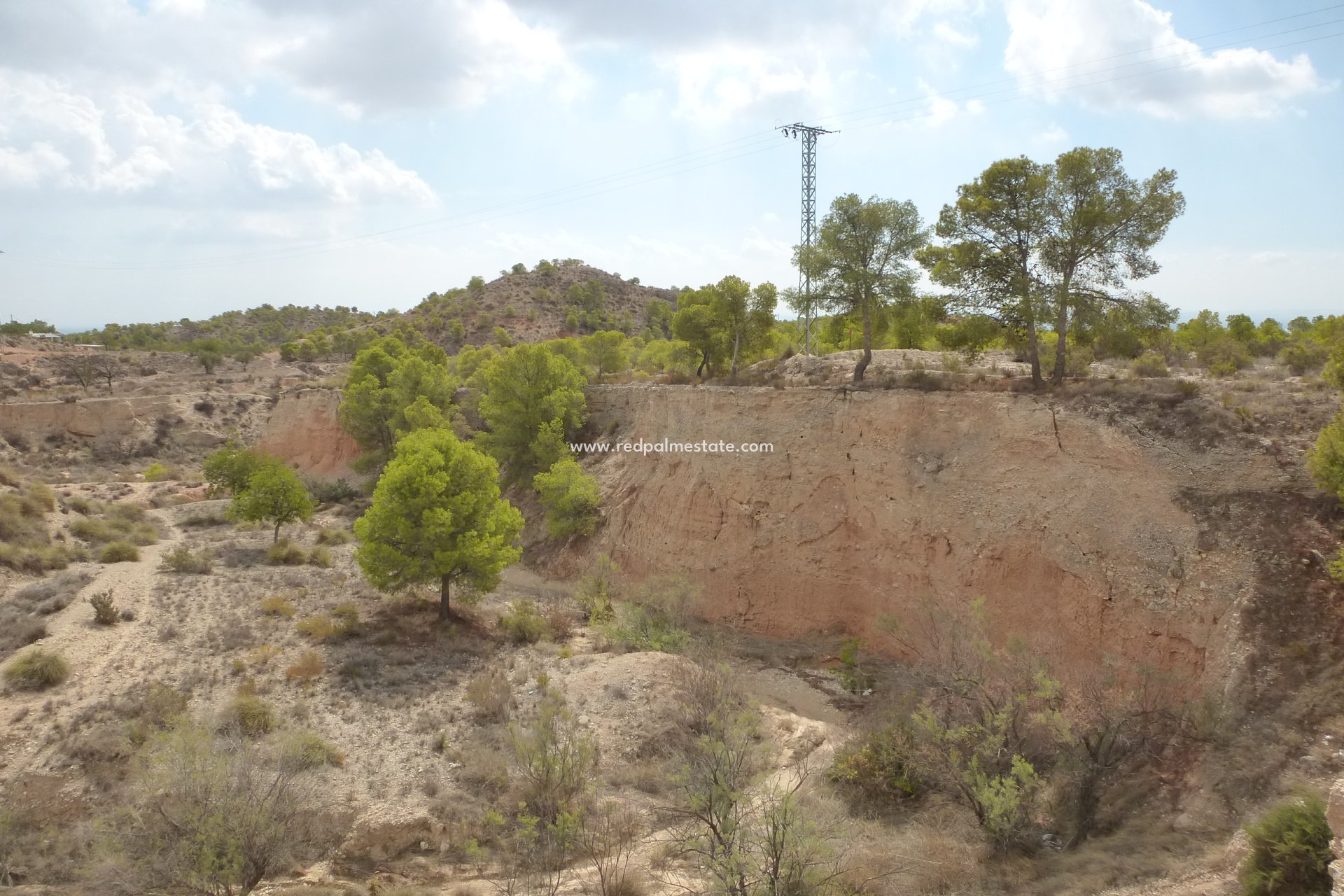 Reventa - Trama -
Crevillente