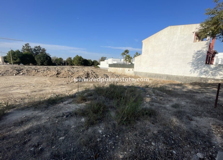 Reventa - Trama -
Dolores - Costa Blanca