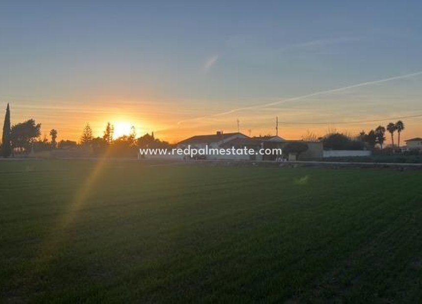 Reventa - Trama -
Dolores