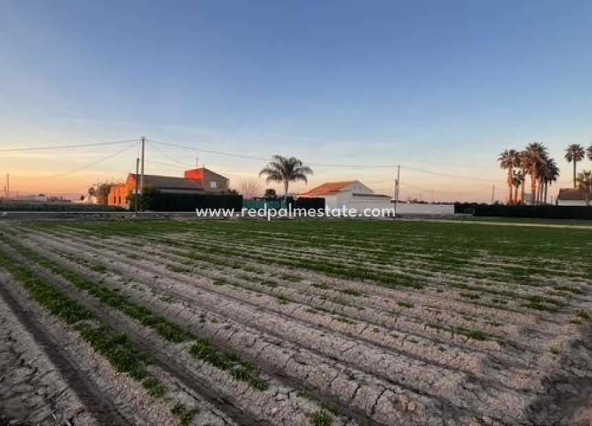 Reventa - Trama -
Dolores