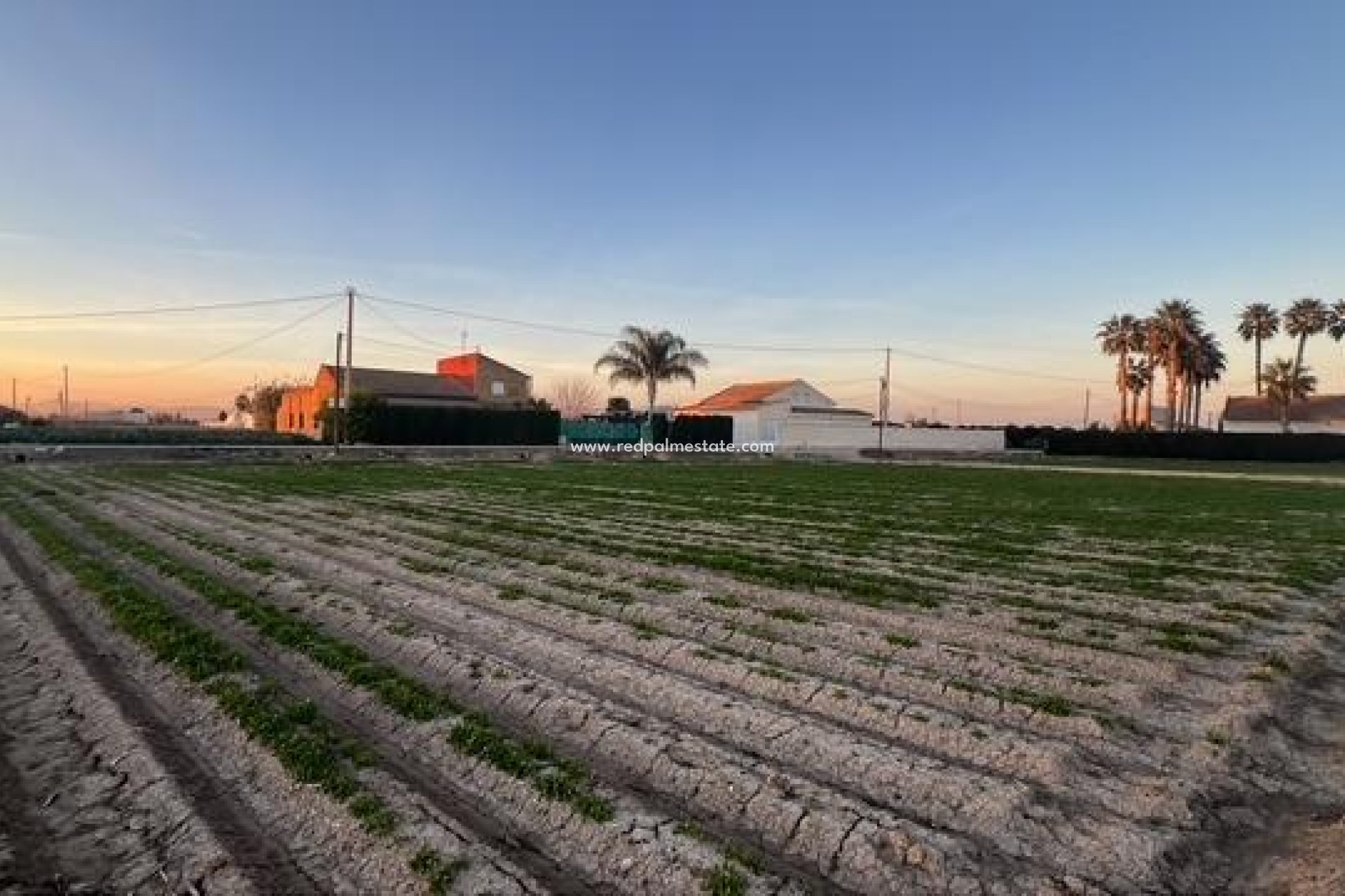 Reventa - Trama -
Dolores