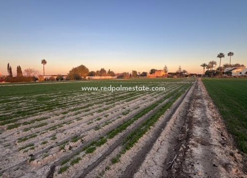 Reventa - Trama -
Dolores