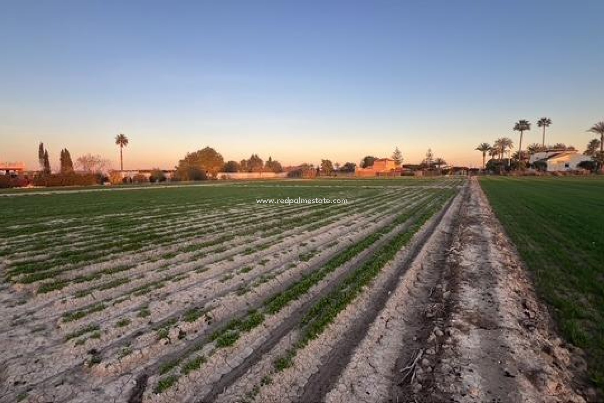 Reventa - Trama -
Dolores