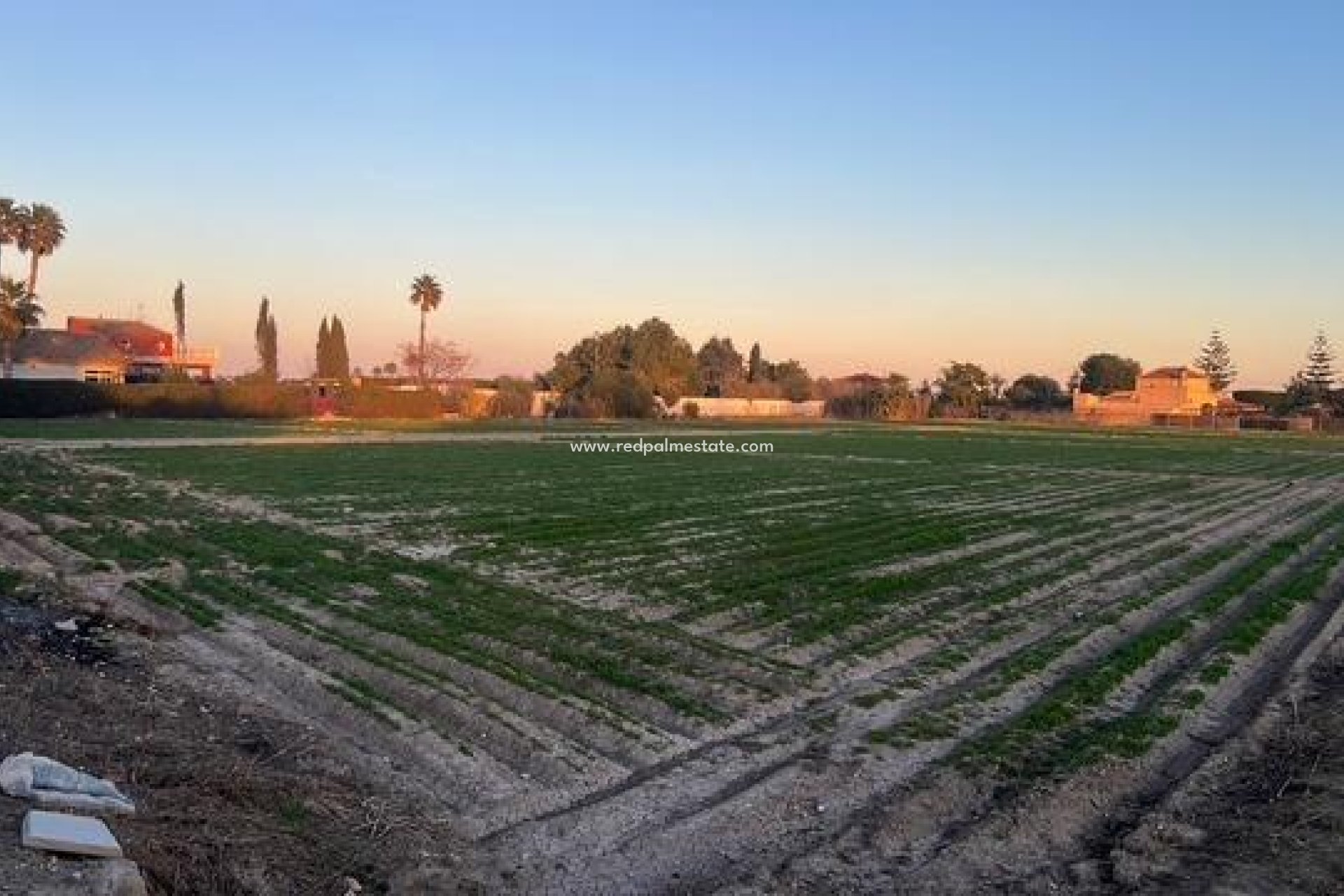 Reventa - Trama -
Dolores