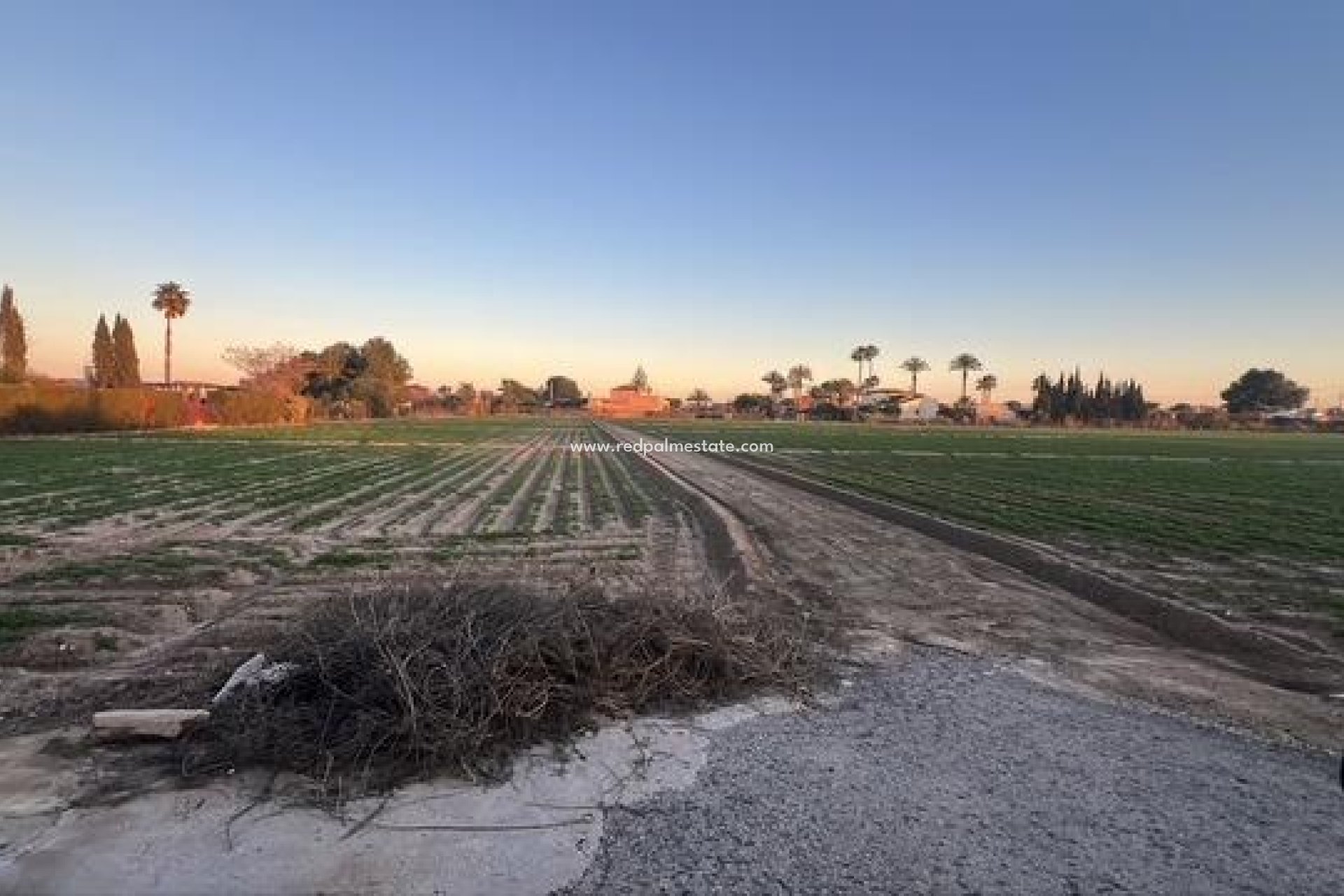 Reventa - Trama -
Dolores