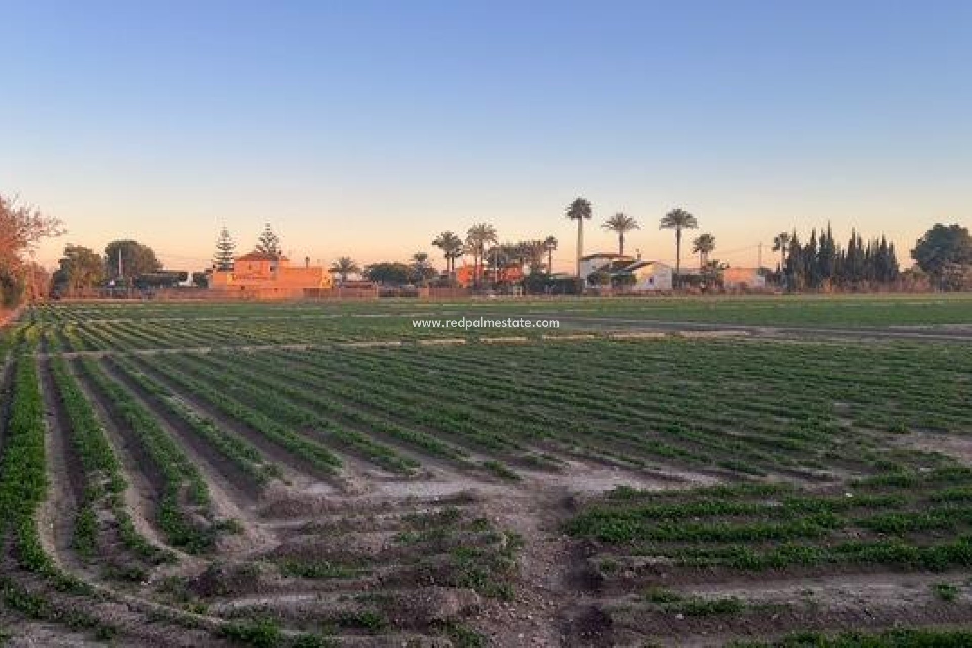 Reventa - Trama -
Dolores