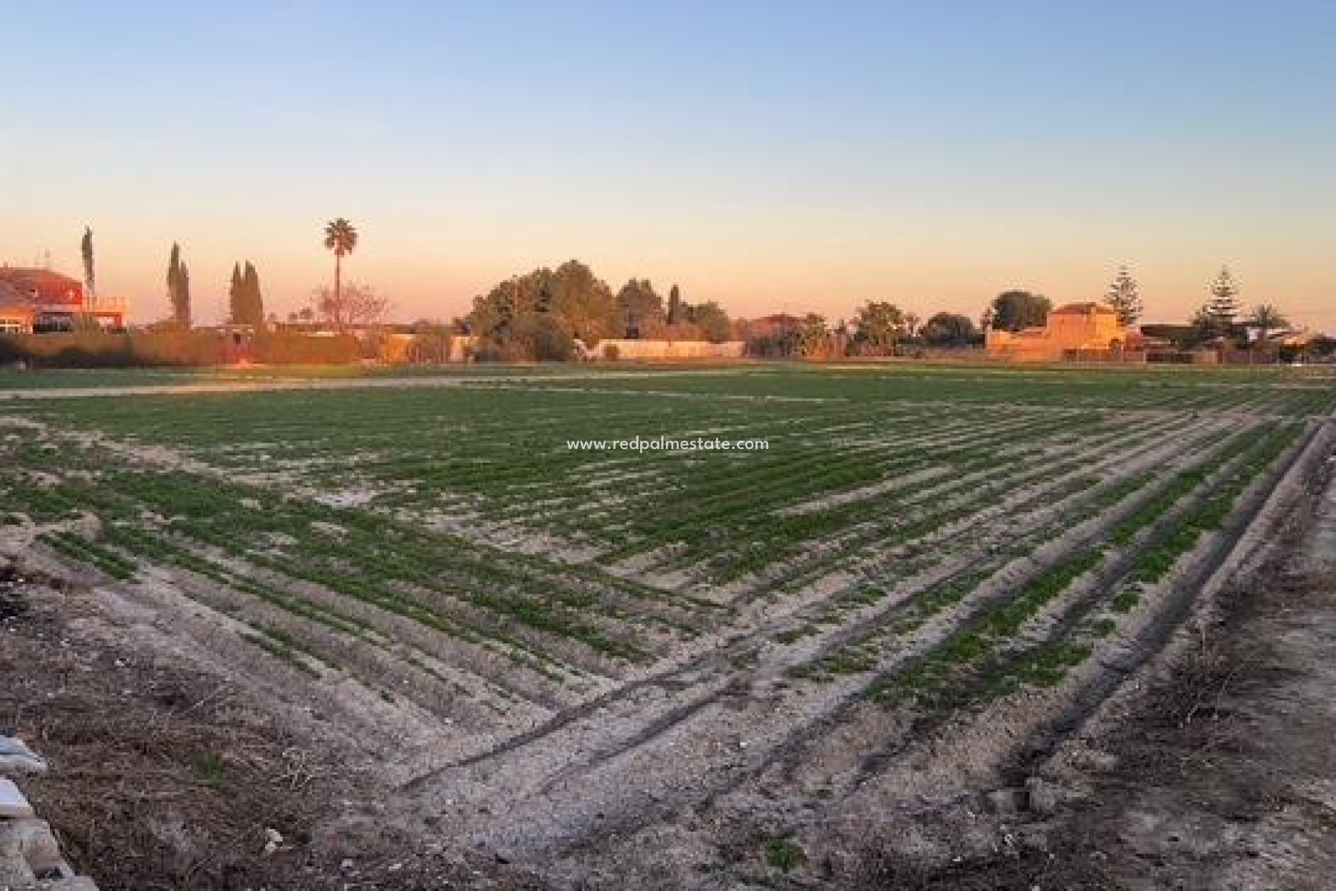 Reventa - Trama -
Dolores